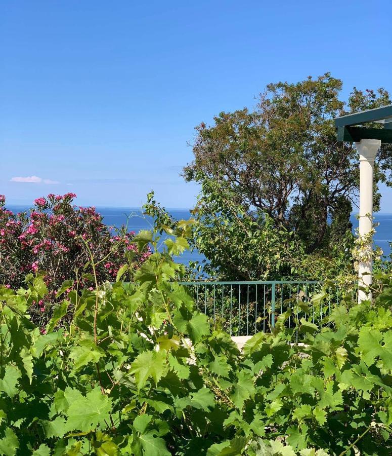Boutique Home Saltaragazza Petrovac Exterior foto